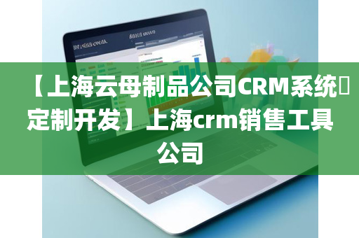 【上海云母制品公司CRM系统​定制开发】上海crm销售工具公司